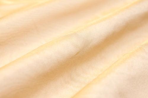 Gold Handwoven Banarasi Tissue Silk Fabric
