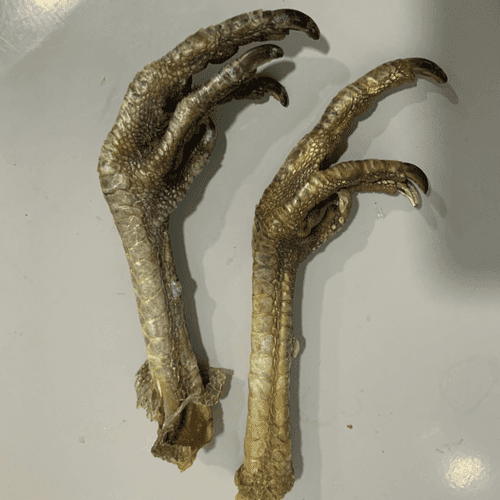 Dehydrated Turkey Feet - 4pcs