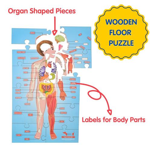 Human Body Parts Puzzle for Kids