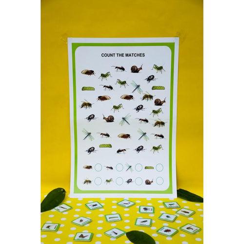 Insects Flashcards And Sorting Fun Learning Activity Pack