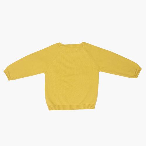 Sunny Bear - Full Sleeve Sweater