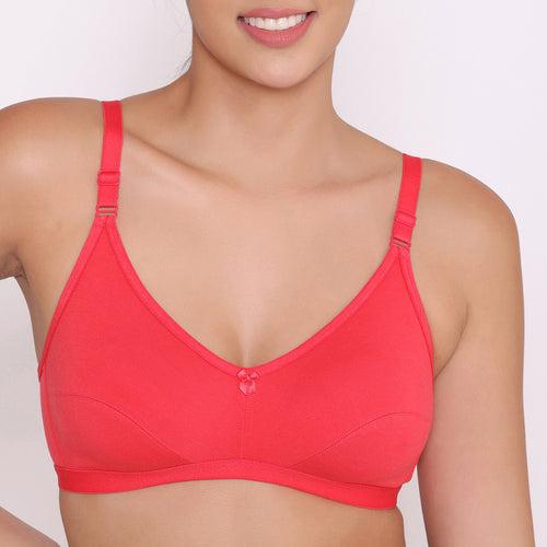 Women's Non Padded Non-Wired Regular Bra-PARIS Combo of 3