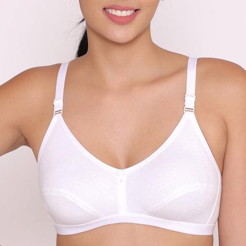 Women's Non Padded Non-Wired Regular Bra-PARIS Combo of 3