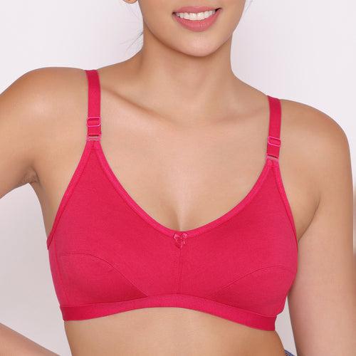 Women's Non Padded Non-Wired Regular Bra-Paris Combo of 2