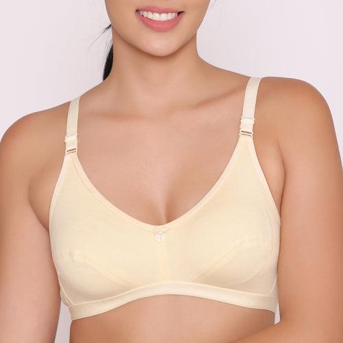 Women's Non Padded Non-Wired Regular Bra-Paris Combo of 2