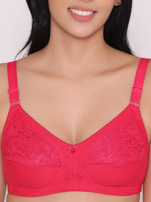 Half Net Non Padded Non Wired Full Coverage Bra (Pack of 2)-IRIS