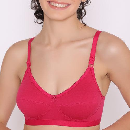 Women's Non Padded Non-Wired Regular Bra-RIO Combo of 6