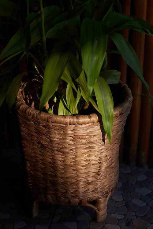 Planter - Water Hyacinth and Cane