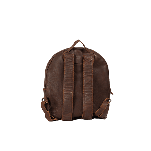 Mini Leather Canvas Backpack