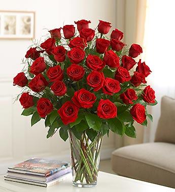 50 Red Roses