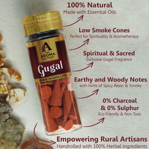 The Aroma Factory Gugal Incense Cone (0% Charcoal 0% Suphates Herbal Guggal Dhoop) Free Holder Bottle Pack, 30 Cones