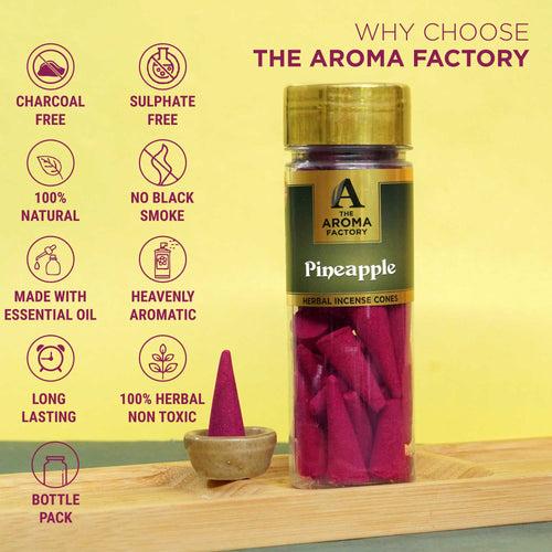 The Aroma Factory Pineapple Incense Cone (0% Charcoal 0% Suphates Herbal Dhoop) Free Holder Bottle Pack, 30 Cones