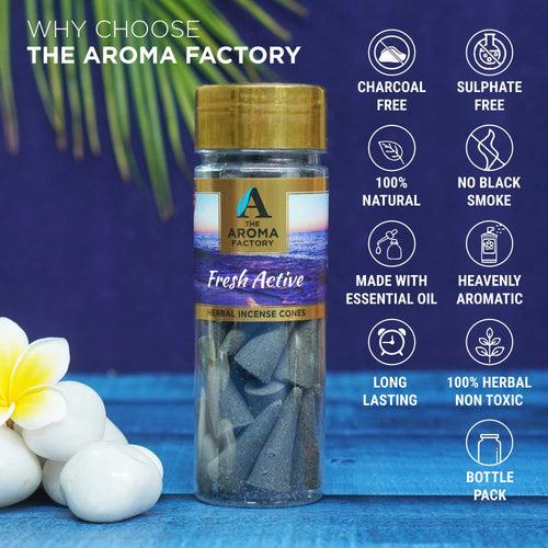 The Aroma Factory Fresh Active Incense Cone (0% Charcoal 0% Suphates Herbal Dhoop) Free Holder Bottle Pack, 30 Cones