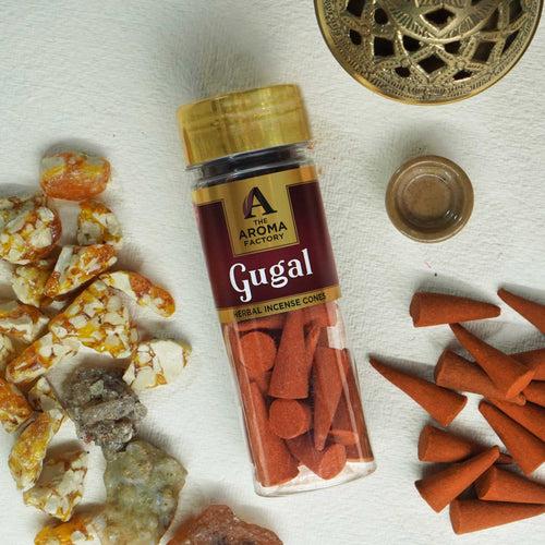 The Aroma Factory Gugal Incense Cone (0% Charcoal 0% Suphates Herbal Guggal Dhoop) Free Holder Bottle Pack, 30 Cones