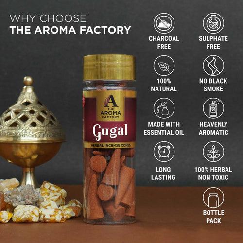 The Aroma Factory Gugal Incense Cone (0% Charcoal 0% Suphates Herbal Guggal Dhoop) Free Holder Bottle Pack, 30 Cones