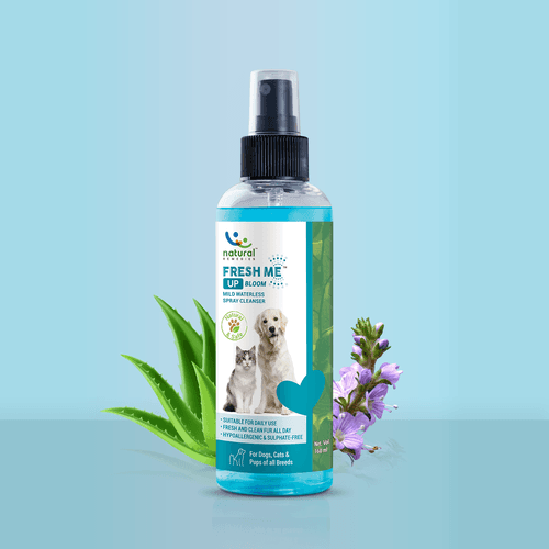 FRESH ME UP BLOOM - Waterless spray cleanser for dogs and cats