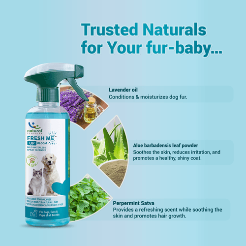 FRESH ME UP BLOOM - Waterless spray cleanser for dogs and cats