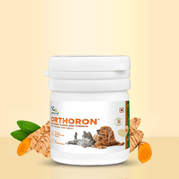 ORTHORON TABLET - Pet Joint Supplements Tablets