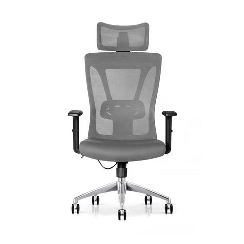 ErgoHuman High Back Office Chair in Grey Color with Headrest