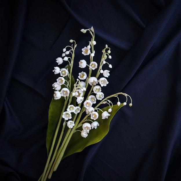 Lily Of The Valley