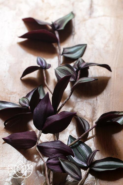 Wandering Jew