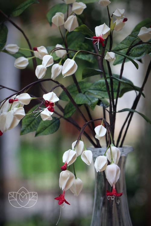 Bleeding Heart