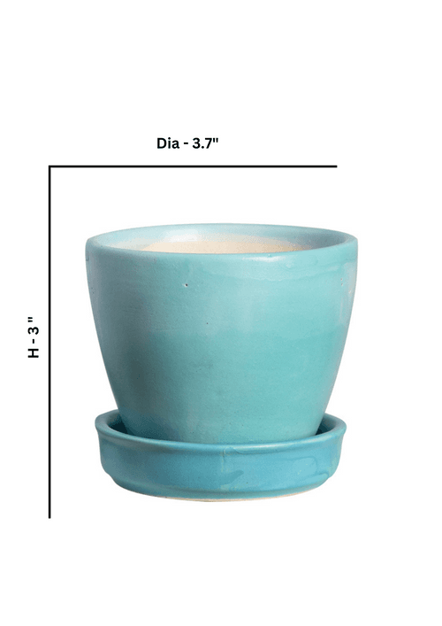 Light Turquoise and Sky Blue Shaded Glazed Ceramic Planter with Plate