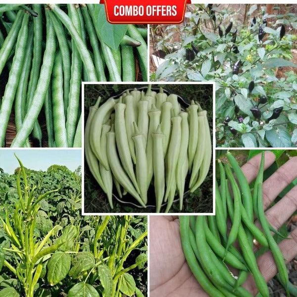 5 in 1 Vegetable Seeds Combo CM1