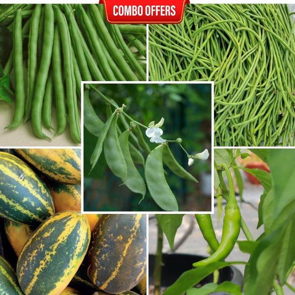 5 in 1 Vegetable Seeds Combo CM2