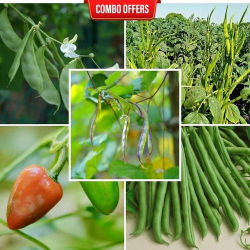 5 in 1 Vegetable Seeds Combo CM3