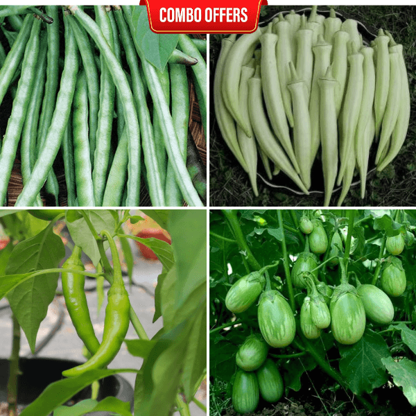 4 in 1 Vegetable Seeds Combo CM9