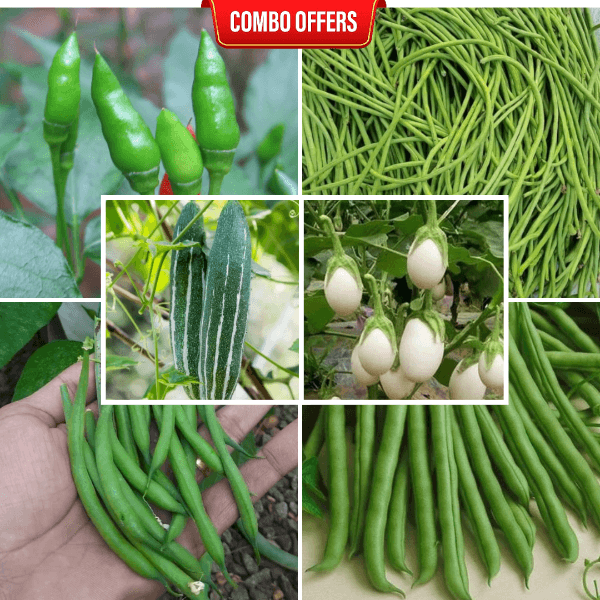 6 in 1 Vegetable Seeds Combo CM15