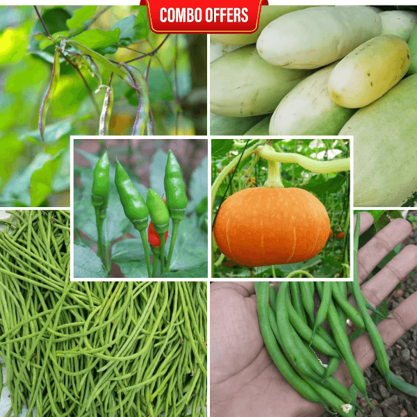 6 in 1 Vegetable Seeds Combo CM16