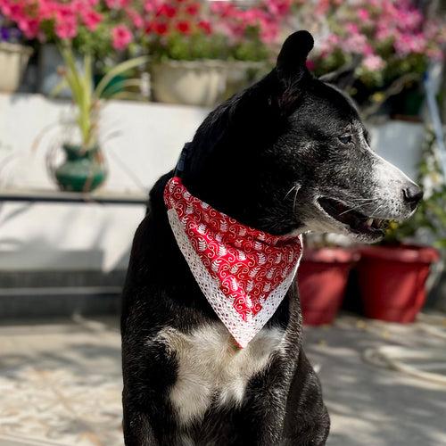 TDIT Festive Chikankari Bandana