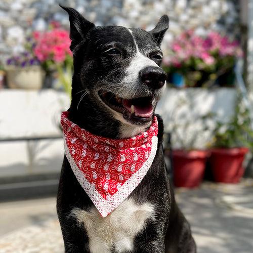 TDIT Festive Chikankari Bandana