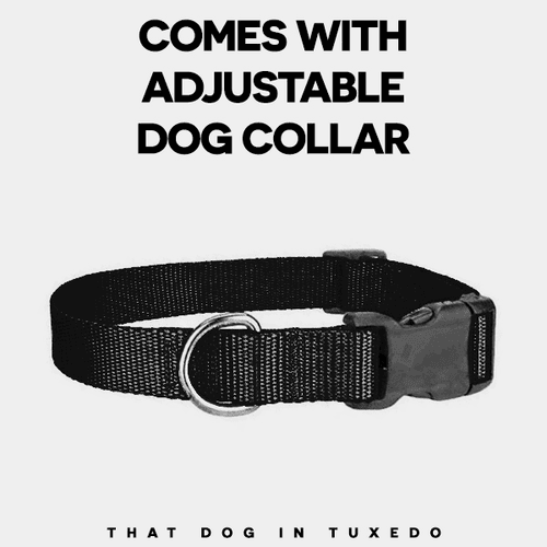 Official Wish Granter Reversible Dog Bandana with collar
