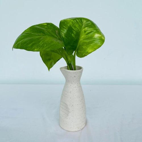 Little Minimalist Vase