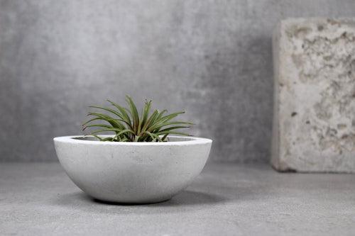 Concrete Bowl Planter/Fruit Basket