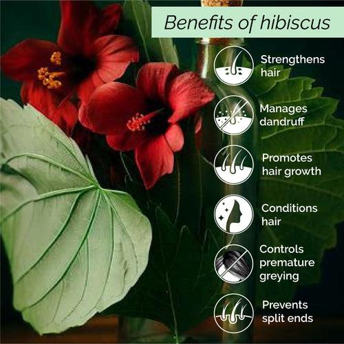 Hibiscus Mist <h4>Non-sticky Wholesome Hair Care<h4> <h6>No alcohol or preservatives added.<h6>