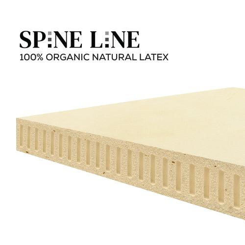 Spineline Orthopedic Mattress (100% Organic Natural Latex) + Free Life Companion Latex Pillows