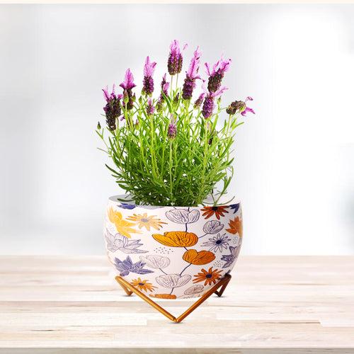 Indoor Metal decor Vase/Planter- Flower Print Set of 2