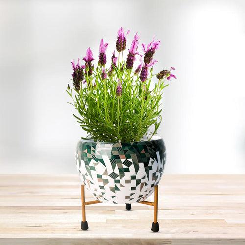 Indoor Metal decor Vase/Planter- Black & Gold