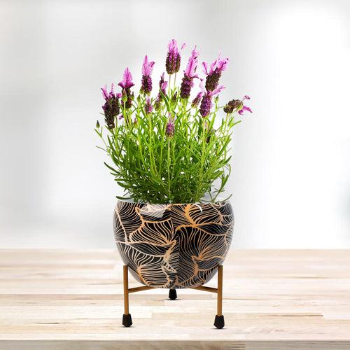 Indoor Metal decor Vase/Planter- Green