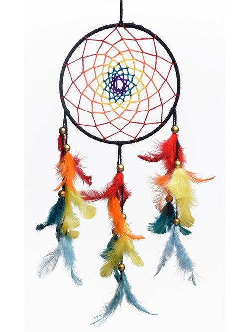 Healing Chakras Dream Catcher