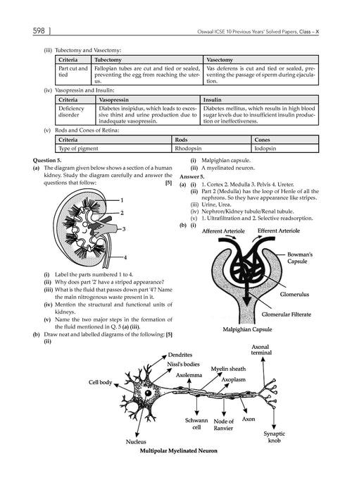 ICSE 10 Previous Year Solved Papers Class 10 | Year-wise 2014-2024 | Physics, Chemistry, Maths, Biology, History and Civics, Geography, Hindi, English 1, English 2 | for 2025 Board Exam