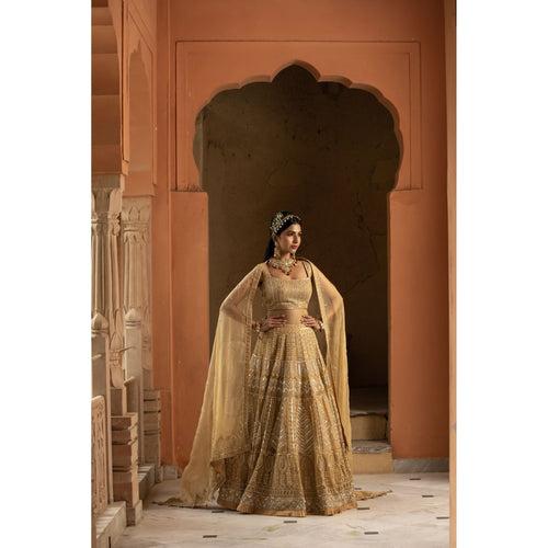 Beige Organza Lehenga Choli Set