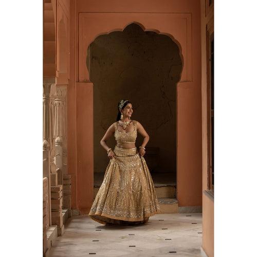 Beige Organza Lehenga Choli Set