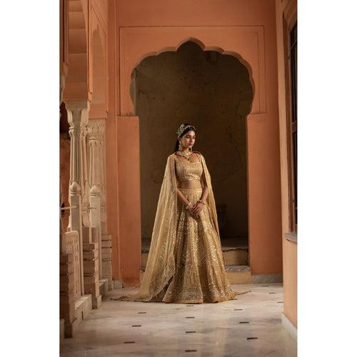 Beige Organza Lehenga Choli Set