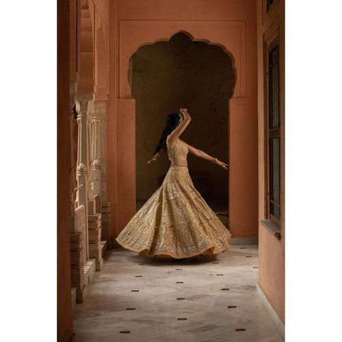 Beige Organza Lehenga Choli Set