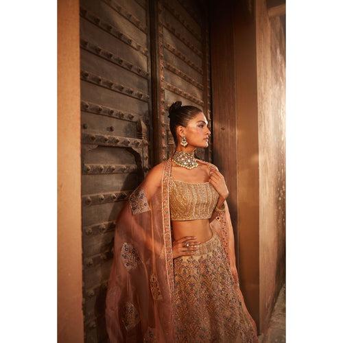 Rustic Organza Lehenga